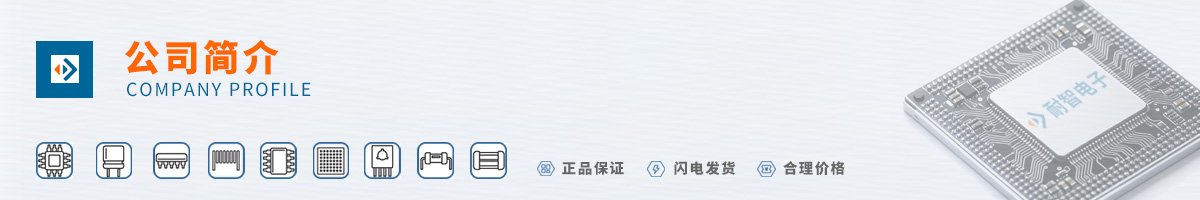 Winbond(����뵼��)��˾����