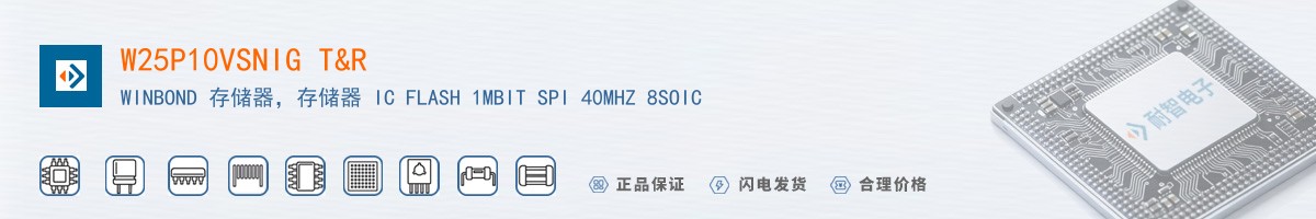 W25P10VSNIG T&R������