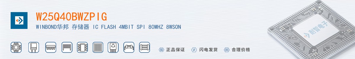 W25Q40BWZPIG������