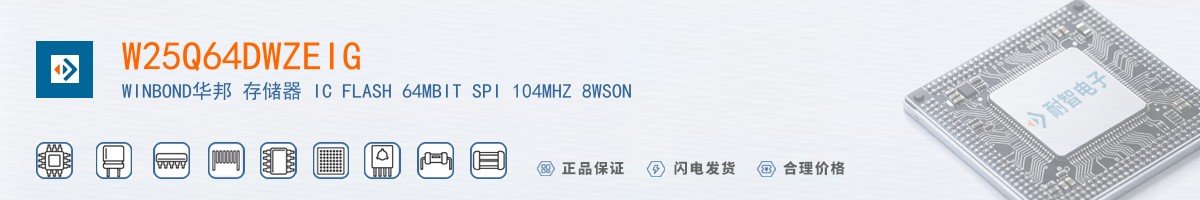W25Q64DWZEIG������