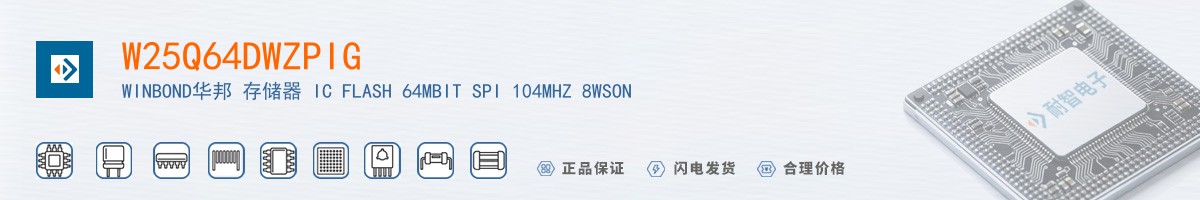W25Q64DWZPIG������