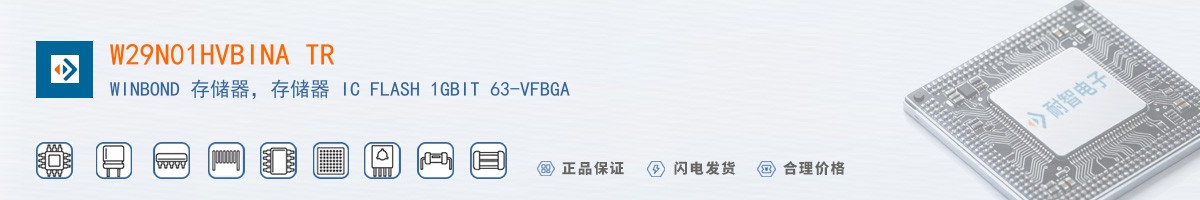 W29N01HVBINA TR������