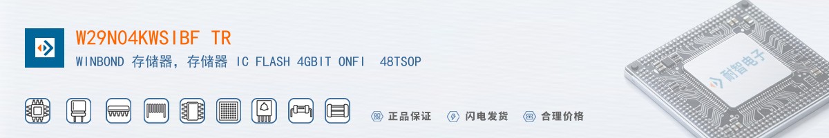 W29N04KWSIBF TR������