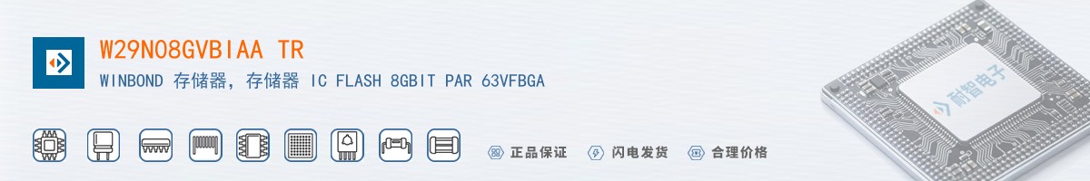 W29N08GVBIAA TR������