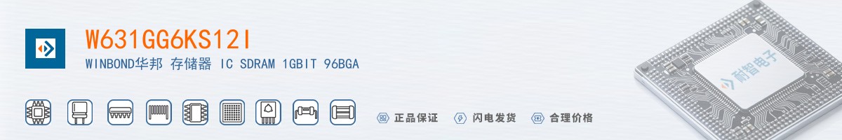 W631GG6KS12I������