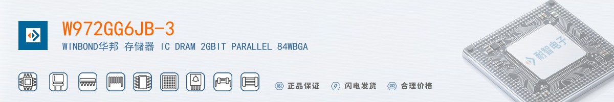 W972GG6JB-3������