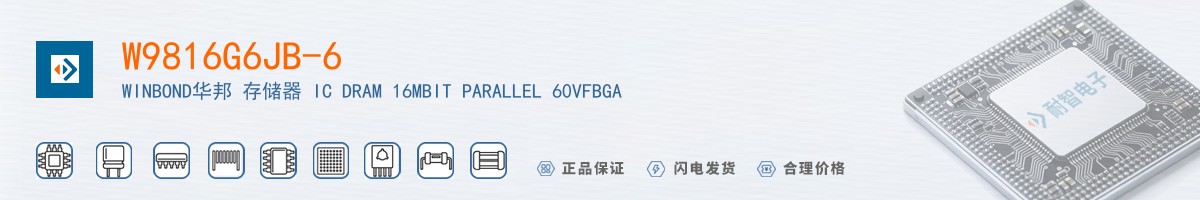 W9816G6JB-6������