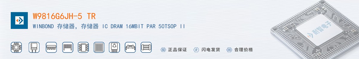 W9816G6JH-5 TR������