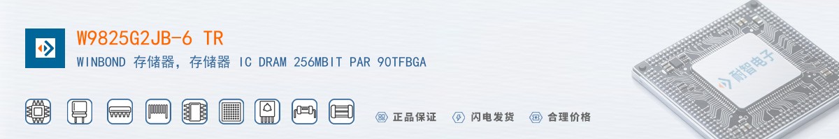 W9825G2JB-6 TR������
