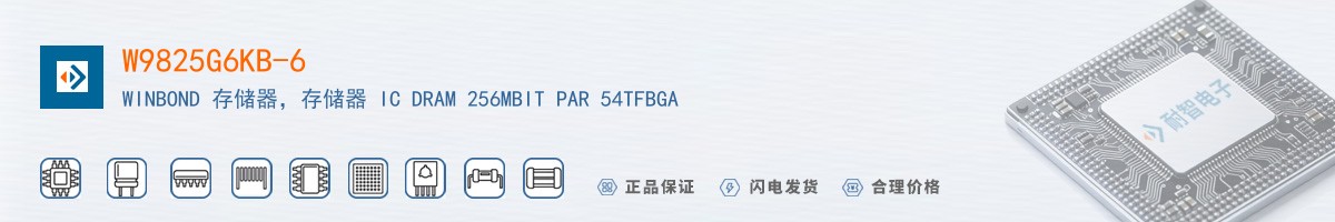 W9825G6KB-6������