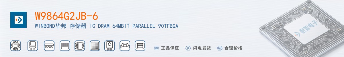 W9864G2JB-6������