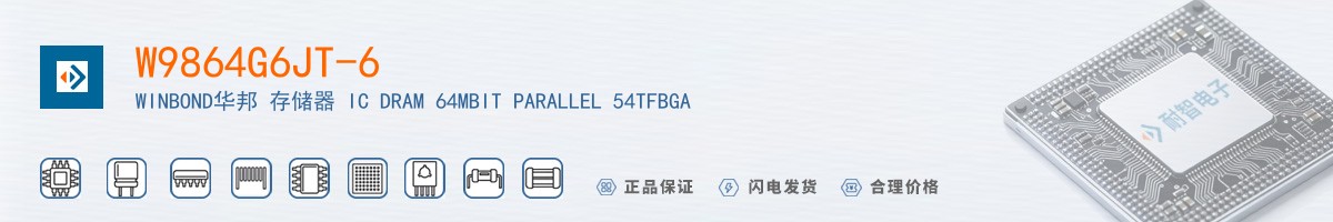 W9864G6JT-6������