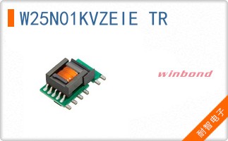 W25N01KVZEIE TR