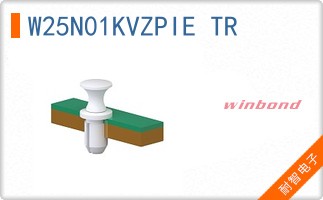 W25N01KVZPIE TR