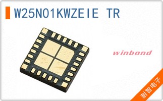 W25N01KWZEIE TR