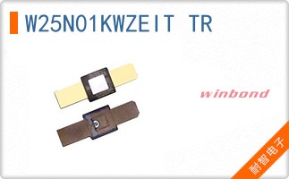 W25N01KWZEIT TR