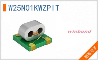 W25N01KWZPIT