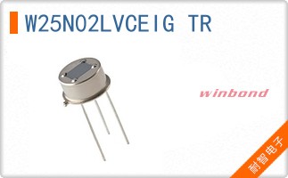 W25N02LVCEIG TR