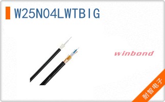 W25N04LWTBIG