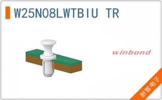 W25N08LWTBIU TR