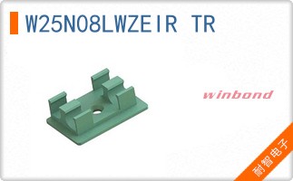 W25N08LWZEIR TR