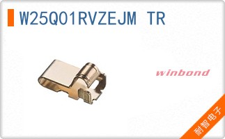 W25Q01RVZEJM TR