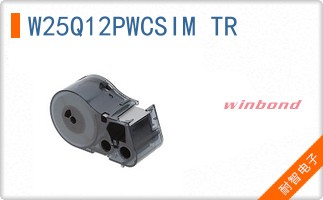 W25Q12PWCSIM TR