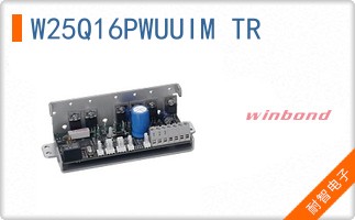 W25Q16PWUUIM TR