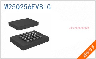 W25Q256FVBIG