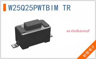 W25Q25PWTBIM TR