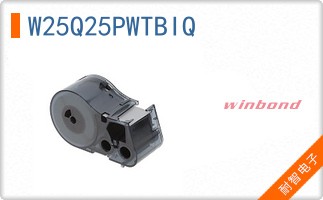 W25Q25PWTBIQ