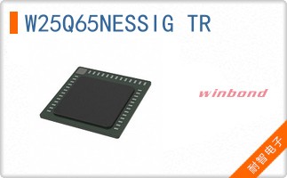 W25Q65NESSIG TR