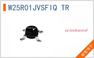 W25R01JVSFIQ TR