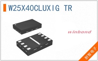 W25X40CLUXIG TR