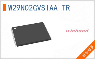 W29N02GVSIAA TR