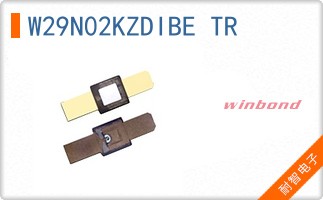 W29N02KZDIBE TR