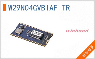 W29N04GVBIAF TR