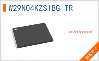 W29N04KZSIBG TR