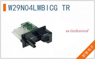 W29N04LWBICG TR