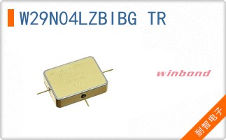 W29N04LZBIBG TR