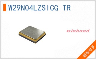 W29N04LZSICG TR