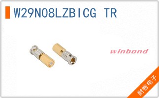 W29N08LZBICG TR