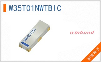 W35T01NWTBIC