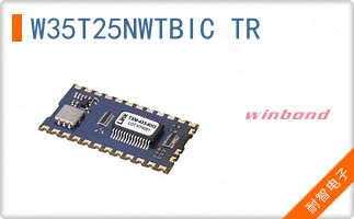 W35T25NWTBIC TR