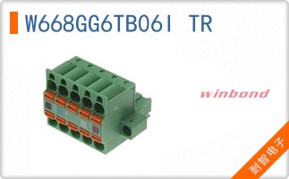 W668GG6TB06I TR