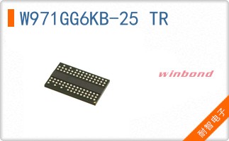 W971GG6KB-25 TR