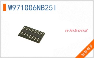 W971GG6NB25I