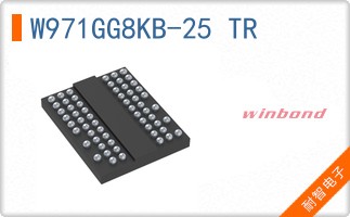 W971GG8KB-25 TR