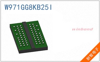 W971GG8KB25I