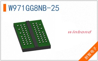 W971GG8NB-25